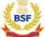bsf logo